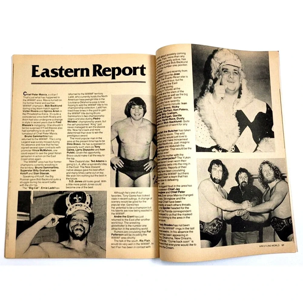WRESTLING WORLD SPECIAL 1979 ED - DUSTY RHODES / HARLEY RACE‎ / ERNIE LADD